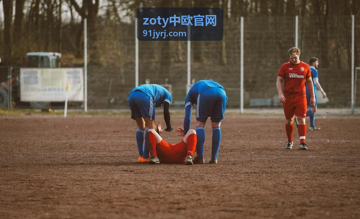zoty中欧官网行业深度观察